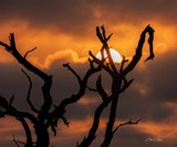 Serondella - sunset Serondella - sunset